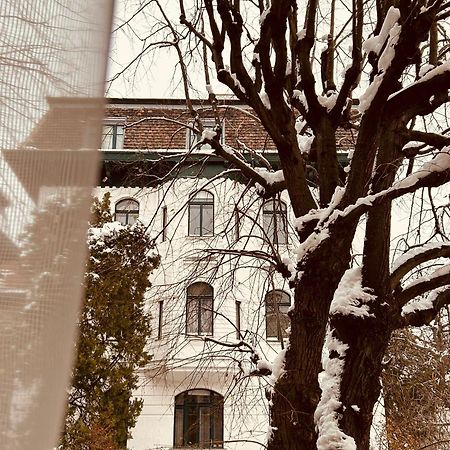 Apartment 5 Min Schoenbrunn Gloriette, Direct To City Center, Free Parking ウィーン エクステリア 写真