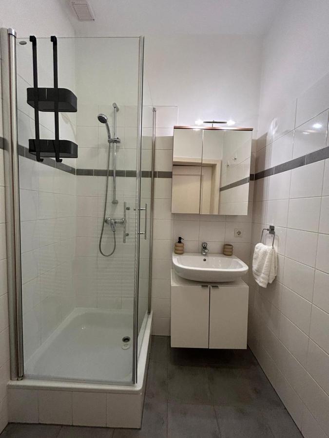 Apartment 5 Min Schoenbrunn Gloriette, Direct To City Center, Free Parking ウィーン エクステリア 写真