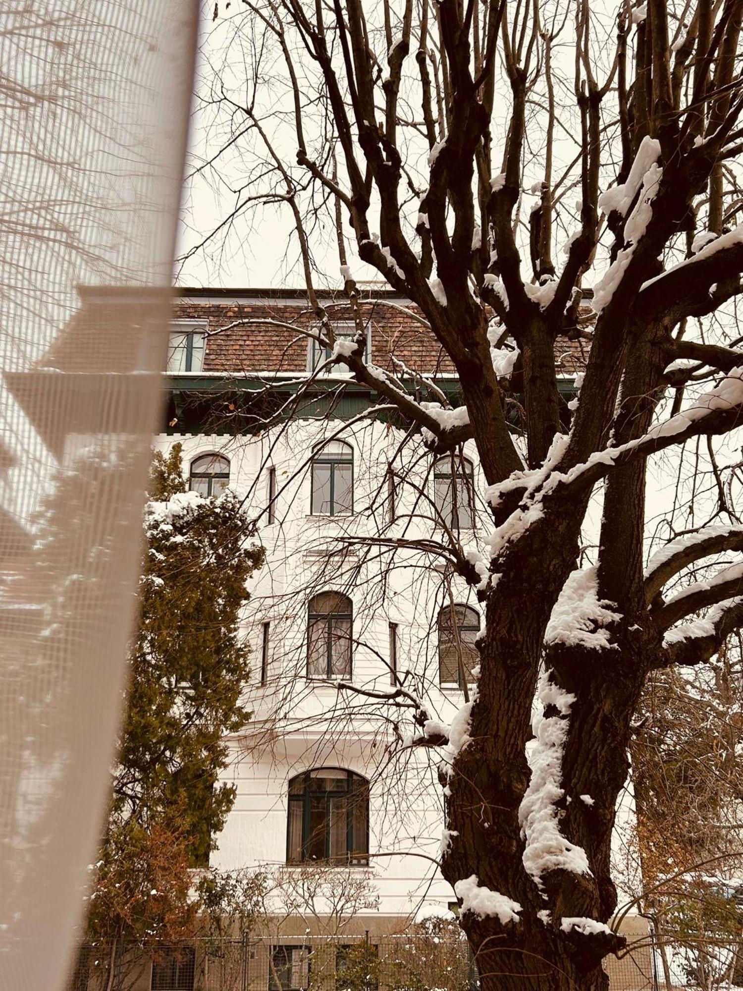 Apartment 5 Min Schoenbrunn Gloriette, Direct To City Center, Free Parking ウィーン エクステリア 写真